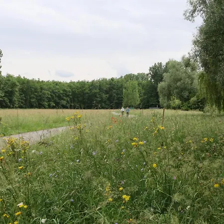 Ferienwohnung, 2 Zimmer, 4 Bis 6 Personen, 67 Qm, Mit Grossem Balkon, Entlang Am Fluss, An Der Aach, Am Bodensee, Nah Am Naturschutzgebiet